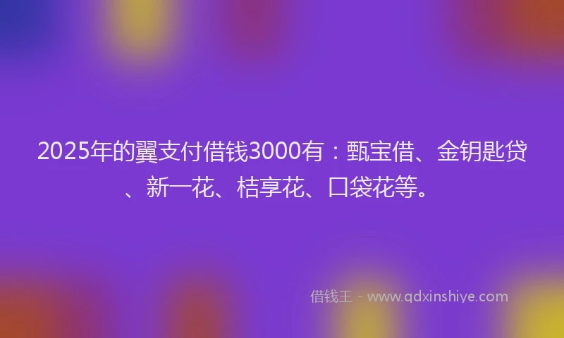 2025年的翼支付借钱3000有：甄宝借、金钥匙贷、新一花、桔享花、口袋花等。