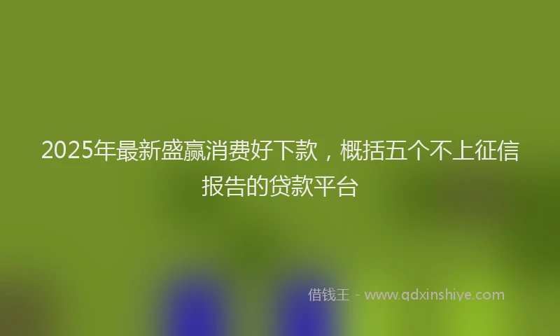 2025年最新盛赢消费好下款，概括五个不上征信报告的贷款平台