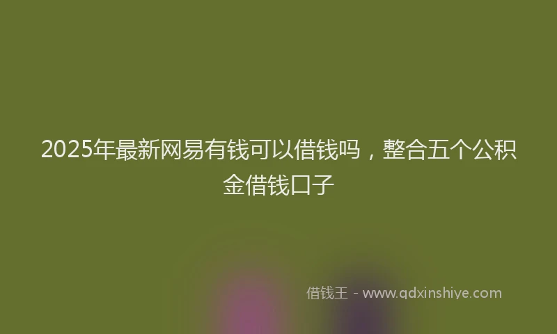 2025年最新网易有钱可以借钱吗，整合五个公积金借钱口子