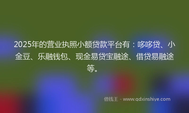 2025年的营业执照小额贷款平台有：哆哆贷、小金豆、乐融钱包、现金易贷宝融途、借贷易融途等。