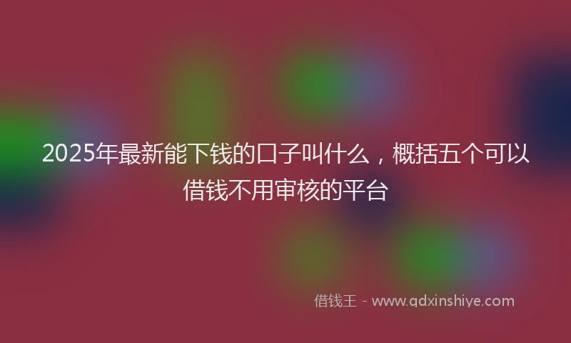 2025年最新能下钱的口子叫什么，概括五个可以借钱不用审核的平台