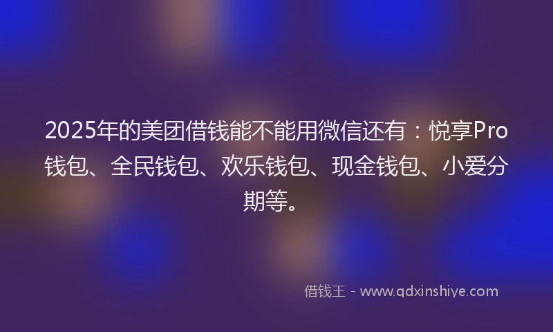 2025年的美团借钱能不能用微信还有：悦享Pro钱包、全民钱包、欢乐钱包、现金钱包、小爱分期等。