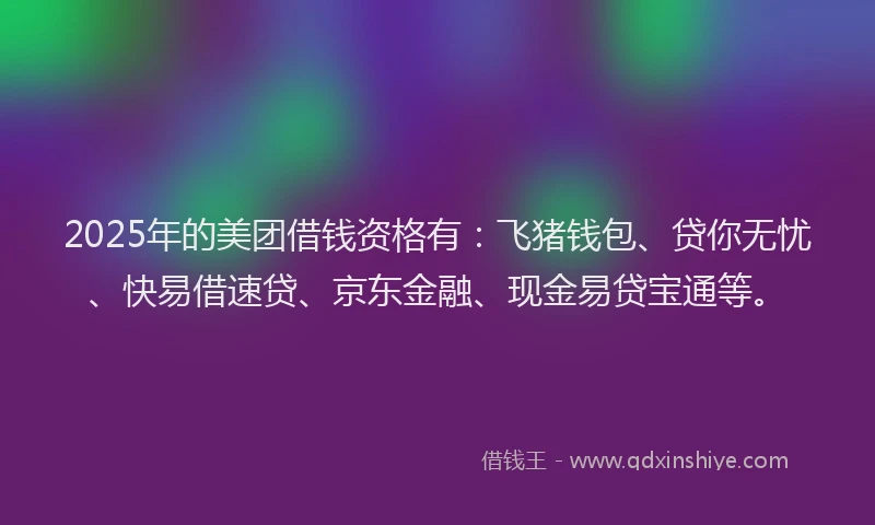 2025年的美团借钱资格有：飞猪钱包、贷你无忧、快易借速贷、京东金融、现金易贷宝通等。