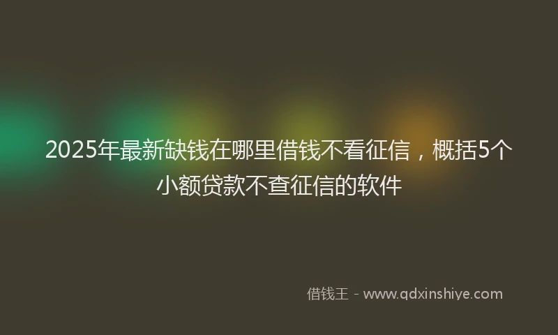 2025年最新缺钱在哪里借钱不看征信，概括5个小额贷款不查征信的软件