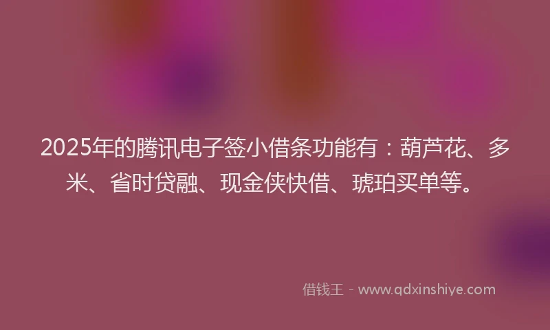 2025年的腾讯电子签小借条功能有：葫芦花、多米、省时贷融、现金侠快借、琥珀买单等。