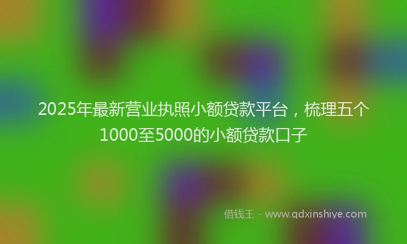 2025年最新营业执照小额贷款平台，梳理五个1000至5000的小额贷款口子