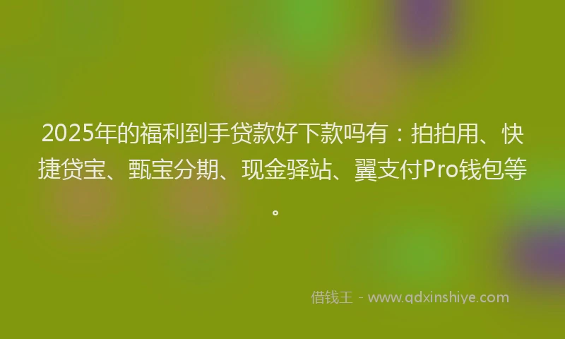 2025年的福利到手贷款好下款吗有：拍拍用、快捷贷宝、甄宝分期、现金驿站、翼支付Pro钱包等。