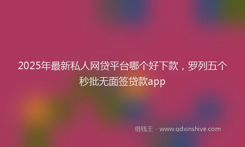 2025年最新私人网贷平台哪个好下款，罗列五个秒批无面签贷款app