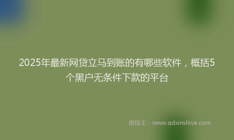 2025年最新网贷立马到账的有哪些软件，概括5个黑户无条件下款的平台
