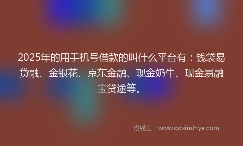2025年的用手机号借款的叫什么平台有：钱袋易贷融、金银花、京东金融、现金奶牛、现金易融宝贷途等。