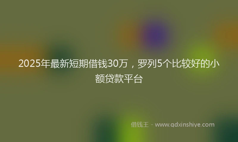 2025年最新短期借钱30万，罗列5个比较好的小额贷款平台