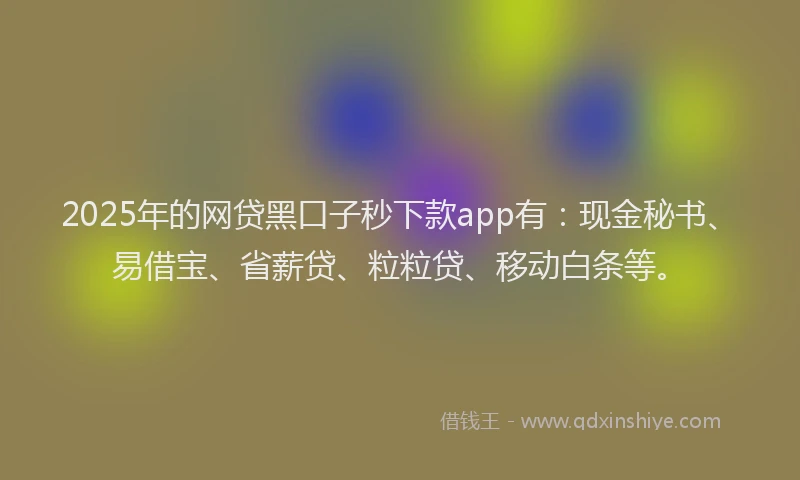 2025年的网贷黑口子秒下款app有：现金秘书、易借宝、省薪贷、粒粒贷、移动白条等。