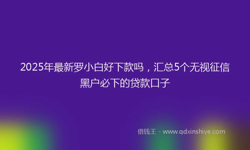 2025年最新罗小白好下款吗，汇总5个无视征信黑户必下的贷款口子