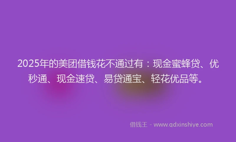 2025年的美团借钱花不通过有：现金蜜蜂贷、优秒通、现金速贷、易贷通宝、轻花优品等。