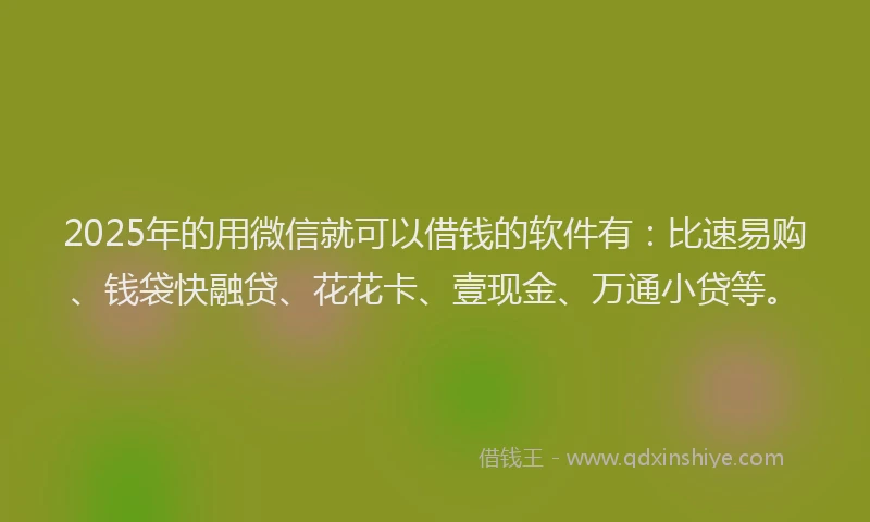 2025年的用微信就可以借钱的软件有：比速易购、钱袋快融贷、花花卡、壹现金、万通小贷等。