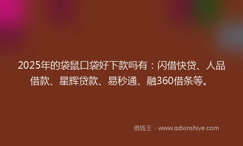 2025年的袋鼠口袋好下款吗有：闪借快贷、人品借款、星辉贷款、易秒通、融360借条等。
