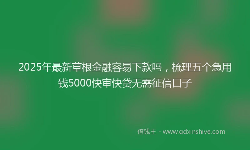 2025年最新草根金融容易下款吗，梳理五个急用钱5000快审快贷无需征信口子