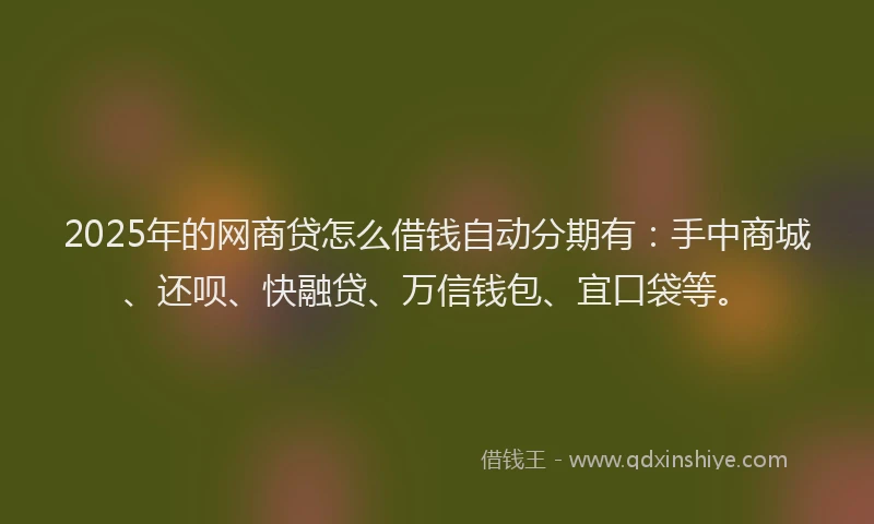 2025年的网商贷怎么借钱自动分期有：手中商城、还呗、快融贷、万信钱包、宜口袋等。