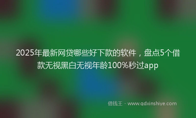 2025年最新网贷哪些好下款的软件，盘点5个借款无视黑白无视年龄100%秒过app