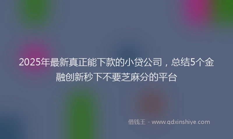 2025年最新真正能下款的小贷公司，总结5个金融创新秒下不要芝麻分的平台