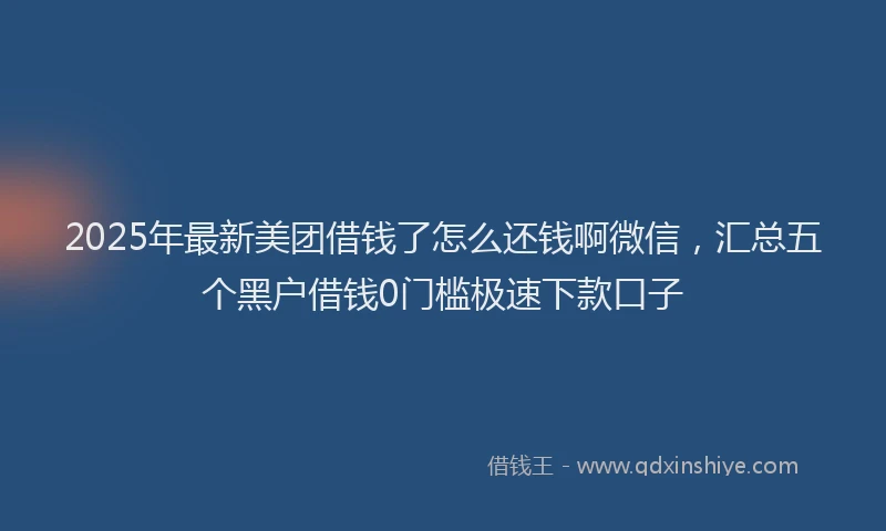 2025年最新美团借钱了怎么还钱啊微信，汇总五个黑户借钱0门槛极速下款口子