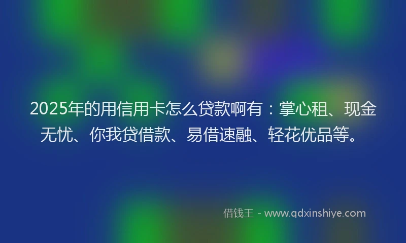 2025年的用信用卡怎么贷款啊有：掌心租、现金无忧、你我贷借款、易借速融、轻花优品等。