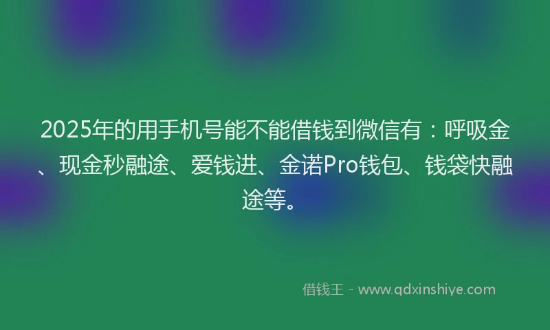 2025年的用手机号能不能借钱到微信有：呼吸金、现金秒融途、爱钱进、金诺Pro钱包、钱袋快融途等。