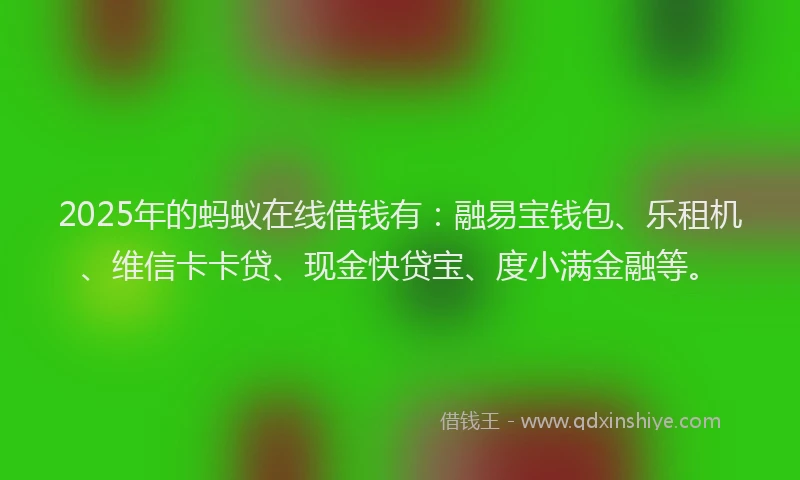 2025年的蚂蚁在线借钱有：融易宝钱包、乐租机、维信卡卡贷、现金快贷宝、度小满金融等。