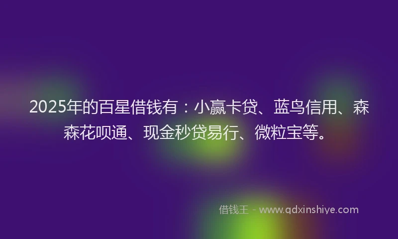 2025年的百星借钱有：小赢卡贷、蓝鸟信用、森森花呗通、现金秒贷易行、微粒宝等。