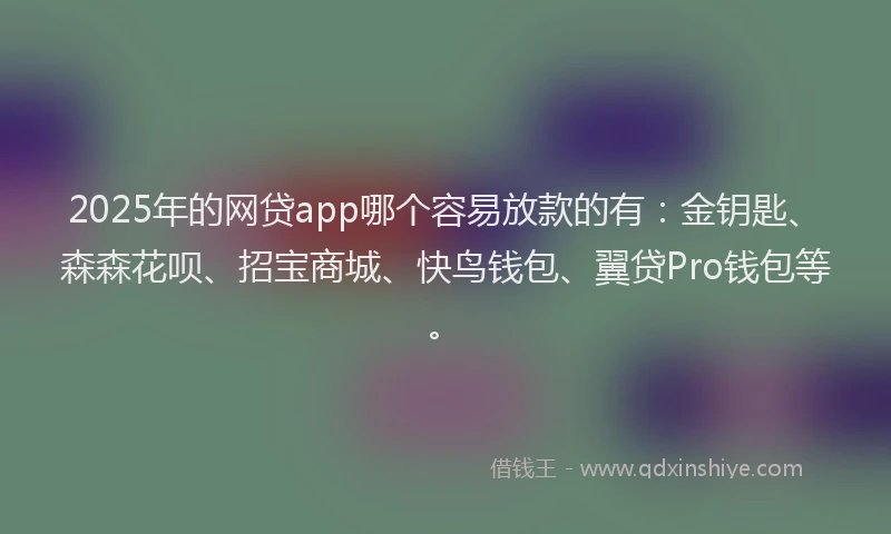 2025年的网贷app哪个容易放款的有：金钥匙、森森花呗、招宝商城、快鸟钱包、翼贷Pro钱包等。
