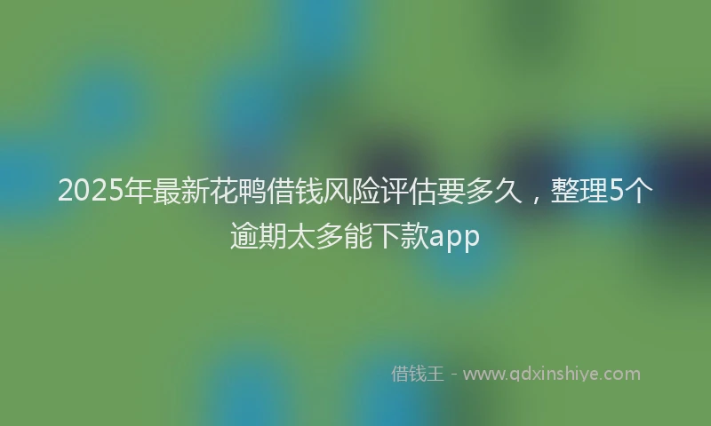 2025年最新花鸭借钱风险评估要多久，整理5个逾期太多能下款app