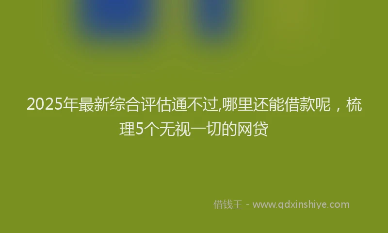 2025年最新综合评估通不过,哪里还能借款呢，梳理5个无视一切的网贷