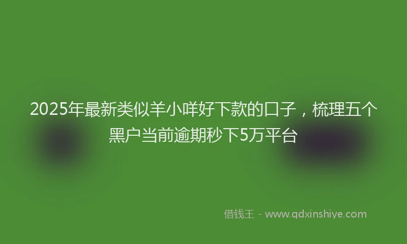 2025年最新类似羊小咩好下款的口子，梳理五个黑户当前逾期秒下5万平台