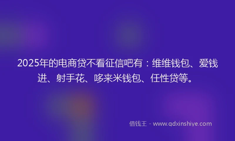 2025年的电商贷不看征信吧有：维维钱包、爱钱进、射手花、哆来米钱包、任性贷等。