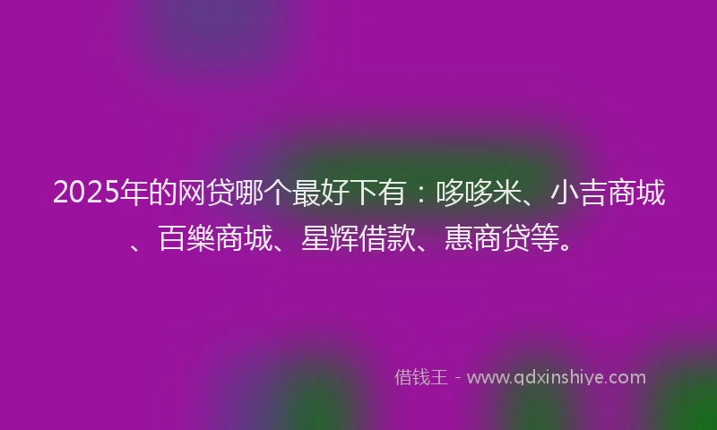 2025年的网贷哪个最好下有：哆哆米、小吉商城、百樂商城、星辉借款、惠商贷等。