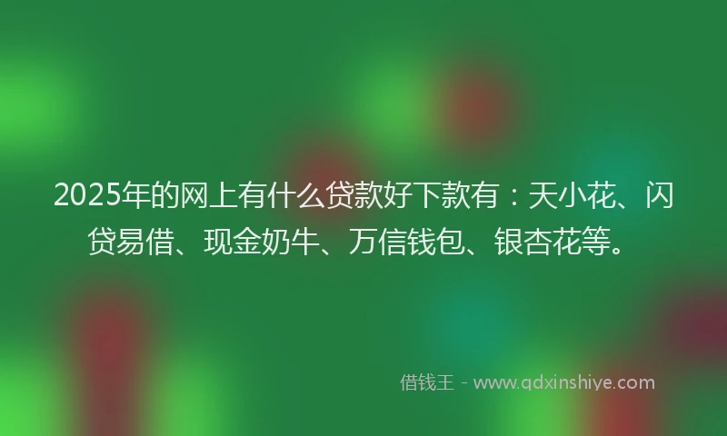 2025年的网上有什么贷款好下款有：天小花、闪贷易借、现金奶牛、万信钱包、银杏花等。
