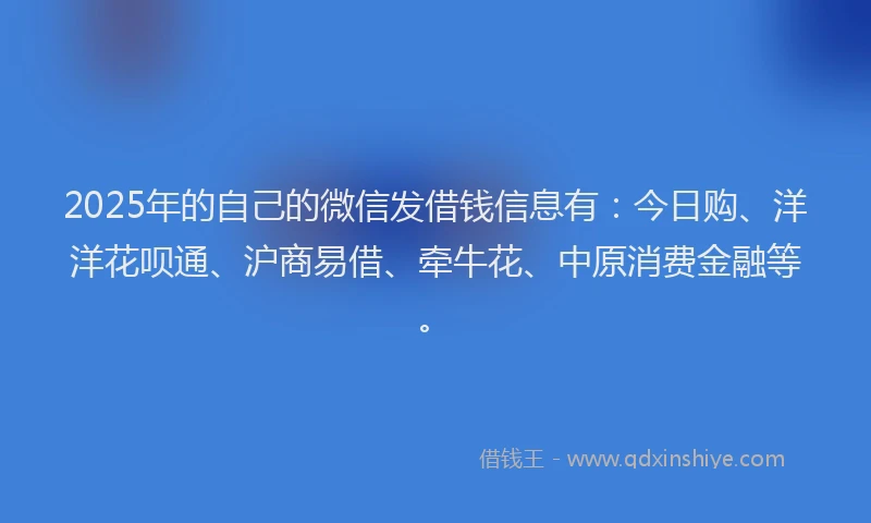 2025年的自己的微信发借钱信息有：今日购、洋洋花呗通、沪商易借、牵牛花、中原消费金融等。