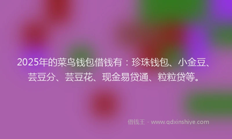 2025年的菜鸟钱包借钱有：珍珠钱包、小金豆、芸豆分、芸豆花、现金易贷通、粒粒贷等。