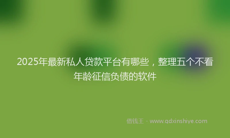 2025年最新私人贷款平台有哪些，整理五个不看年龄征信负债的软件