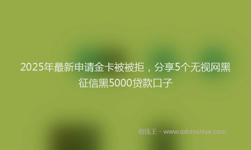 2025年最新申请金卡被被拒，分享5个无视网黑征信黑5000贷款口子