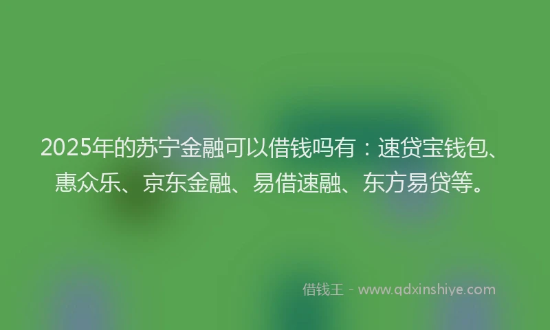 2025年的苏宁金融可以借钱吗有：速贷宝钱包、惠众乐、京东金融、易借速融、东方易贷等。