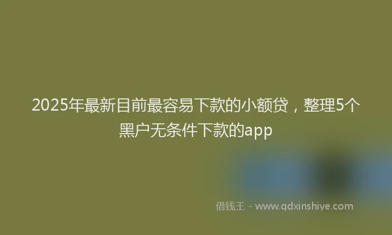 2025年最新目前最容易下款的小额贷，整理5个黑户无条件下款的app
