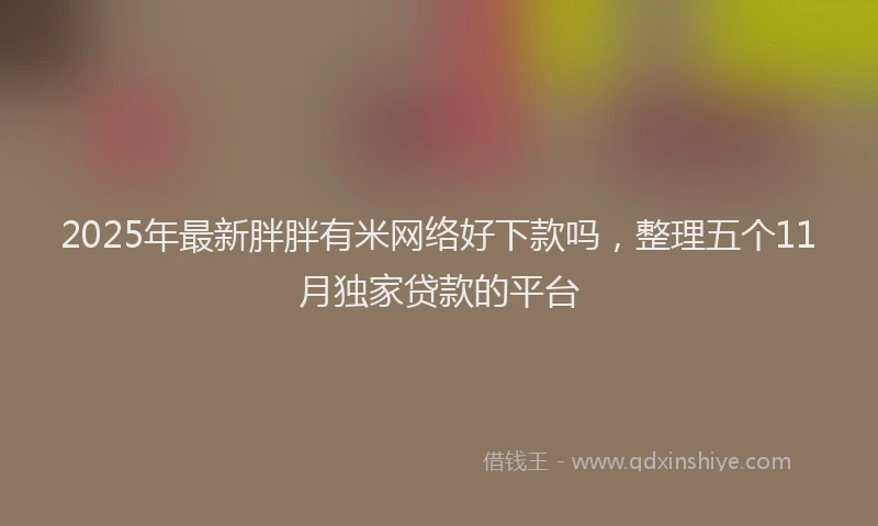 2025年最新胖胖有米网络好下款吗，整理五个11月独家贷款的平台