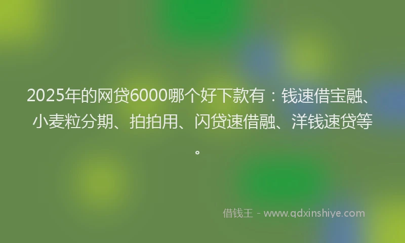 2025年的网贷6000哪个好下款有：钱速借宝融、小麦粒分期、拍拍用、闪贷速借融、洋钱速贷等。