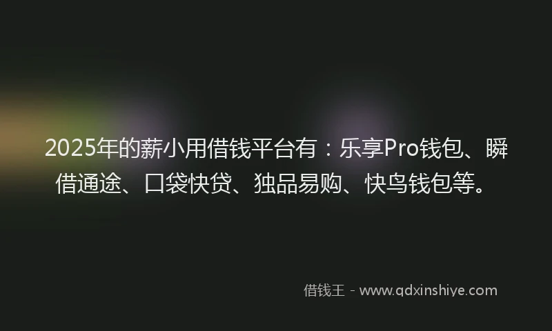2025年的薪小用借钱平台有：乐享Pro钱包、瞬借通途、口袋快贷、独品易购、快鸟钱包等。