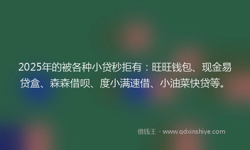 2025年的被各种小贷秒拒有：旺旺钱包、现金易贷盒、森森借呗、度小满速借、小油菜快贷等。