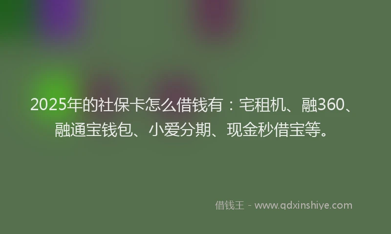 2025年的社保卡怎么借钱有：宅租机、融360、融通宝钱包、小爱分期、现金秒借宝等。