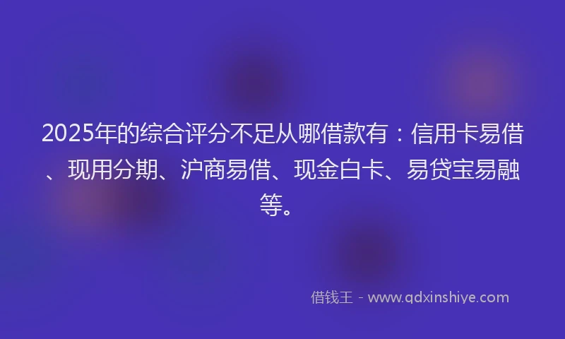 2025年的综合评分不足从哪借款有：信用卡易借、现用分期、沪商易借、现金白卡、易贷宝易融等。