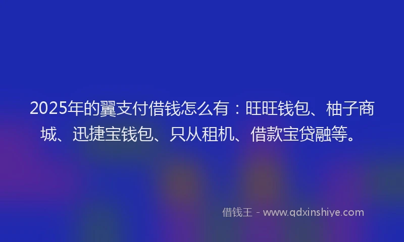 2025年的翼支付借钱怎么有：旺旺钱包、柚子商城、迅捷宝钱包、只从租机、借款宝贷融等。