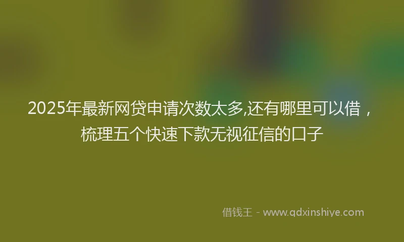 2025年最新网贷申请次数太多,还有哪里可以借，梳理五个快速下款无视征信的口子